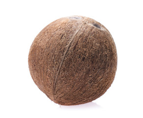 coconuts isolated on  white background