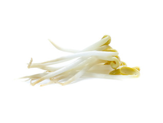 Bean Sprouts  isolated on White Background