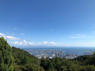 A flower on a summer day, Kobe, Japan