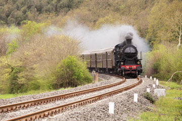 Treno a vapore