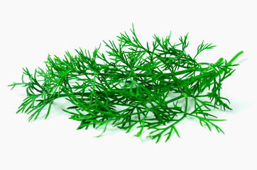 Dill leaves closeup on white background