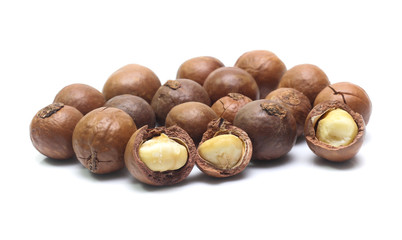 macadamia nuts on white background