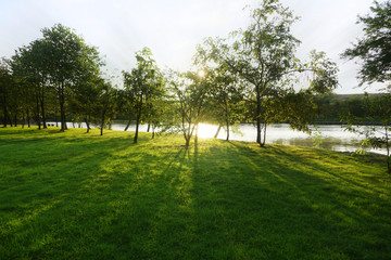 Beautiful scenery trees greenery park and fresh green lawn with lake and sunlight beam in sky background, morning or evening time sunshine day.