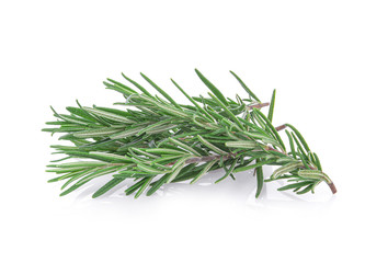 Rosemary isolated on white background.