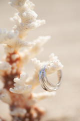 サンゴと指輪