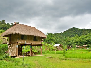 Fototapeta na wymiar The bamboo cottage with green rice farm under the cloudy sky in Chiang Mai, Thailand