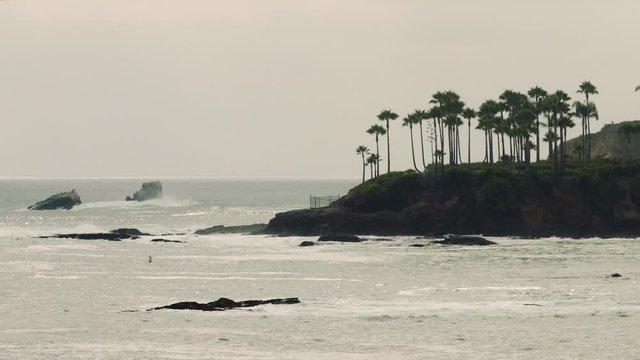 Shaw's Cove & its tall palm trees jut out into the sea at Laguna Beach, CA