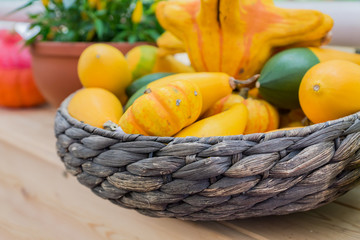 An assortment of small decorative pumpkins in a basket. Autumn interior composition.