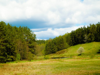 Fototapeta na wymiar Forest and meadows - Beauty of Kashubia, Poland.