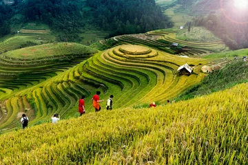 Crédence de cuisine en verre imprimé Annapurna Rice fields on terraced of Mu Cang Chai, YenBai, Vietnam. Vietnam landscapes.