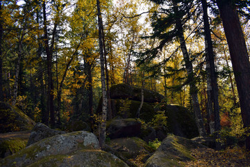 Obraz premium Krasnoyarsk nature reserve 