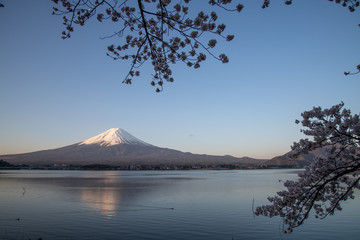 河口湖畔