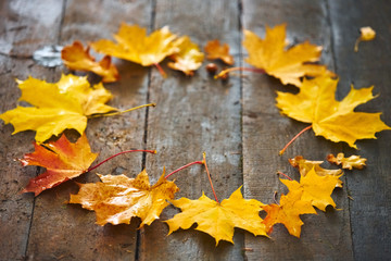 Naklejka na ściany i meble frame of autumn maple leaves on a wooden background
