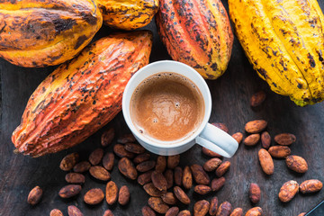 Cocoa hot drink and Cocoa Beans With ripe cacao pod on wooden table