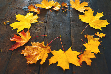 frame of autumn maple leaves on a wooden background
