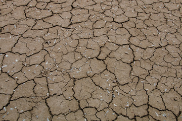 cracked earth texture