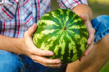 watermelon in the hands of a guy on nature in the park