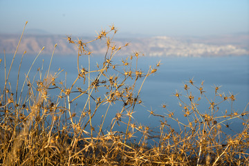 Sea of Galilee at sunrise