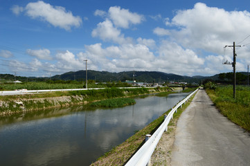 沖縄の田舎の川沿いの道と橋