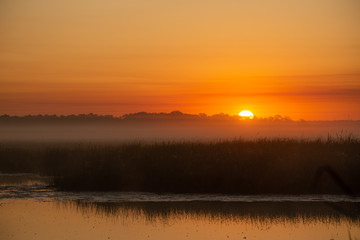 Moorland at morning sunrise