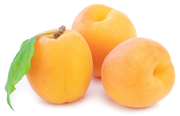 Apricot isolated on white background. Clipping Path