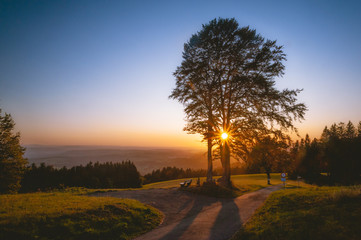 Fototapeta na wymiar Sonnenuntergang am Hornberger Eichstock