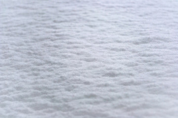 White fur texture, close-up.Useful as background
