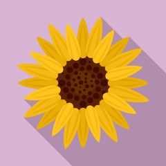 Botany sunflower icon. Flat illustration of botany sunflower vector icon for web design