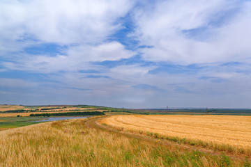 Harvester. Farmland, sloping fields on a bright and Sunny day in summer. Cultivation of bread and production of natural food.