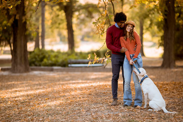 Fototapeta premium Multiracial couple walking with dog in autumn park