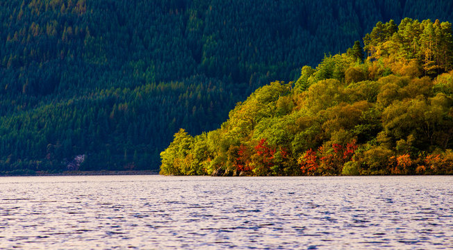 Loch Lomond In Autumn