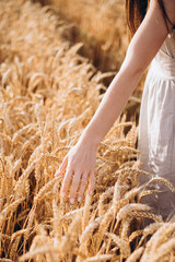 female hand stroking ears of wheat in a wheat field