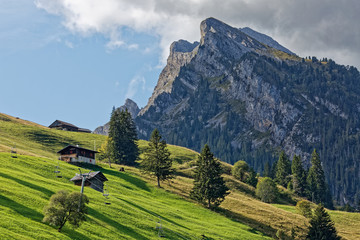 Montagne de l'Oberland Bernois
