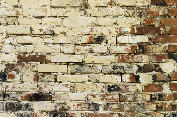Textured wall with old brick
