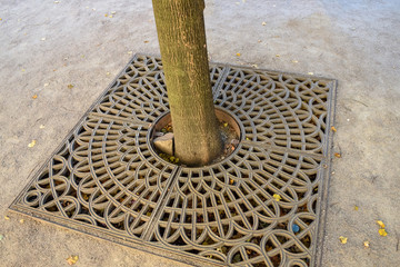 Metal grill with pattern under the tree for draining water