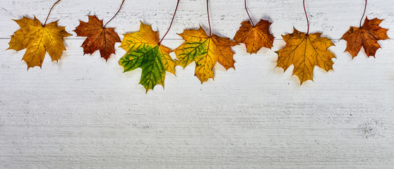 Yellow autumn leaves on a wooden background - obrazy, fototapety, plakaty