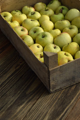 The photo shows a new crop of apples.