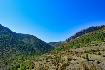 Landscape in the mountain in summer