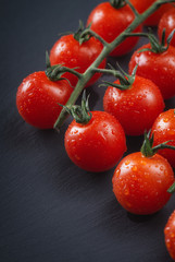 Fresh cherry tomatoes on a black background. Side view with copy space.
