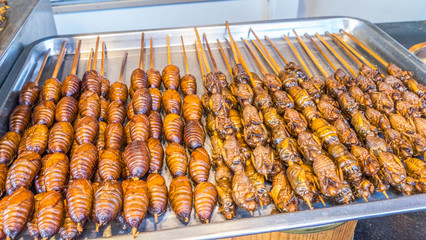 Deep fried insects at a street market in China