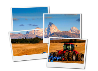 Tractor Farming Ground Harvesting Crops in Fall Autumn Teton Mountains Rugged Film Frame Photoraph