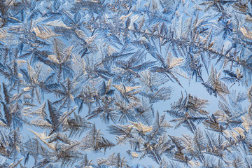 frosty pattern on blue glass seamless winter day