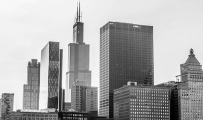 skyscrapers black and white in Chicago