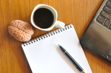note paper and human brain model with business concept