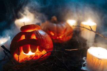 Funny Halloween Pumpkins in a spooky forest at night. Jack O Lanterns With Lights. Trick or treat. 2019