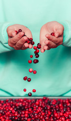 Woman's hands holding cranberries