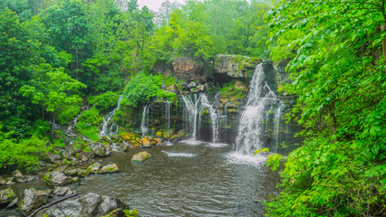  Green unknown oasis in new york