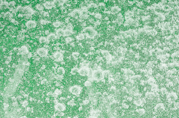 Green wall decoration, wallpaper on the wall