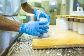 Cheese making milk dairy farming
