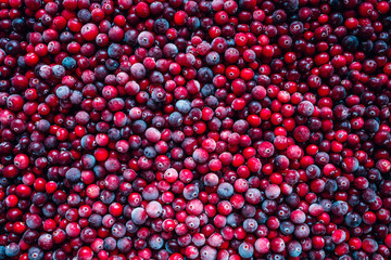 Red background made from frozen berries. Top view
